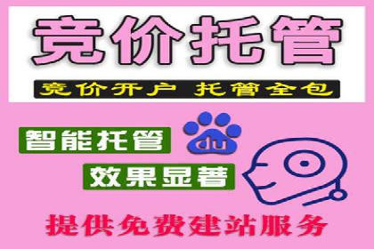高效SEM推广代运营：提升品牌知名度的秘诀